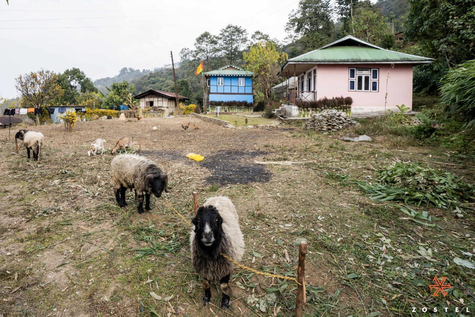 Zostel Rinchenpong Exterior foto
